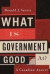 What Is Government Good At? -- Bok 9780773546219