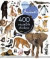 Eyelike Stickers: Animals -- Bok 9780761169338