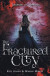 The Fractured City -- Bok 9781644509661