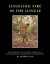 Juggling Fire in The Jungle - My Journey of Thirty Years in a Sustainable Community Experiment -- Bok 9781393045946
