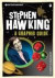 Introducing Stephen Hawking -- Bok 9781848310940