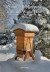 Natural Beekeeping with the Warre Hive -- Bok 9781908904386