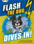 Bug Club Independent Fiction Year 3 Brown B Flash the Dog Dives In! -- Bok 9780435143640