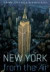 New York from the Air -- Bok 9780810993846