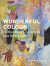 Wonderful Colour: Gothenburg Colourism in a New Light -- Bok 9789198815269