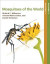 Mosquitoes of the World -- Bok 9781421438153