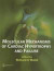 Molecular Mechanisms of Cardiac Hypertrophy and Failure -- Bok 9780203503249