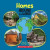 Homes Around The World (Around The World) -- Bok 9781338768640
