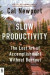 Slow Productivity -- Bok 9780593719435