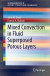 Mixed Convection in Fluid Superposed Porous Layers -- Bok 9783319507866