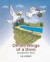 On the Wings of a Dove: Grandmother Tales -- Bok 9780615284347