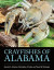 Crayfishes of Alabama -- Bok 9780817321062