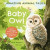 Amazing Animal Tales: Baby Owl -- Bok 9780192780928