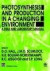 Photosynthesis and Production in a Changing Environment -- Bok 9780412429002