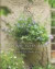 Time to Plant: Luxurious Garden Living -- Bok 9781423623465