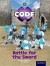Project X Code: Castle Kingdom Battle for the Sword -- Bok 9780198340430