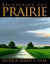 Recovering the Prairie -- Bok 9780299164607
