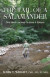 The Tail of the Salamander -- Bok 9781959811343