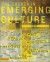Church in Emerging Culture: Five Perspectives -- Bok 9780310861379