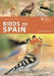 Birds of Spain -- Bok 9781399405010