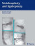 Vertebroplasty and Kyphoplasty -- Bok 9781638531968