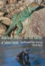 Amphibians, Reptiles, and Their Habitats at Sabino Canyon -- Bok 9780816524952
