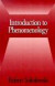 Introduction to Phenomenology -- Bok 9780521667920