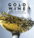 Gold Wine -- Bok 9781538166512