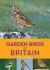 A Naturalist's Guide to the Garden Birds of Britain (2nd edition) -- Bok 9781912081196