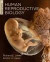 Human Reproductive Biology -- Bok 9780123821843