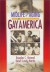 Midlife and Aging in Gay America -- Bok 9781560232605
