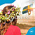 Lyckebo -- Bok 9789189605053