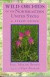 Wild Orchids of the Northeastern United States -- Bok 9780801483417