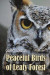 Peaceful Birds of Leafy Forest -- Bok 9781787243576