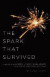 The Spark That Survived -- Bok 9781944193164