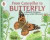 From Caterpillar To Butterfly Big Book -- Bok 9780061119750