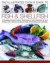 Illustrated Cook's Guide to Fish and Shellfish -- Bok 9781844767793