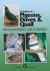 Pigeons, Doves and Quail -- Bok 9780646230580