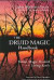 Druid Magic Handbook -- Bok 9781578633975