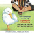 Why Ducks Sleep on One Leg -- Bok 9781732270695