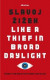 Like A Thief In Broad Daylight -- Bok 9780241386170