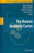 The Human Auditory Cortex -- Bok 9781461423133
