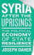 Syria after the Uprisings -- Bok 9780745339399