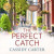 Perfect Catch -- Bok 9781974947362