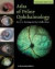 Atlas of Feline Ophthalmology -- Bok 9780470958742