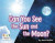 Can You See the Sun and the Moon? -- Bok 9781398250574