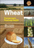 Wheat -- Bok 9781119652595