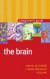 Brain -- Bok 9781851683734