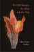 Old Woman, the Tulip, and the Dog, The -- Bok 9780822962915