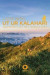 Ut ur Kalahari : drömmen om det goda livet -- Bok 9789174412123